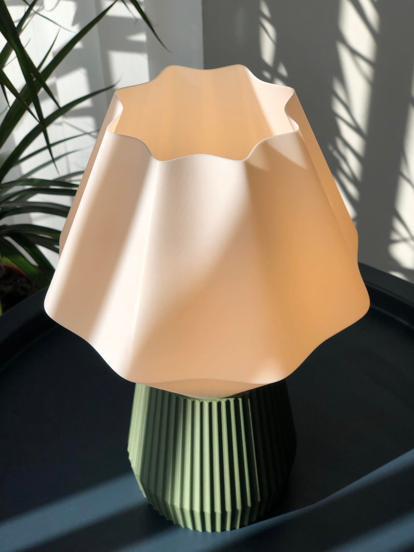 Oasis Light