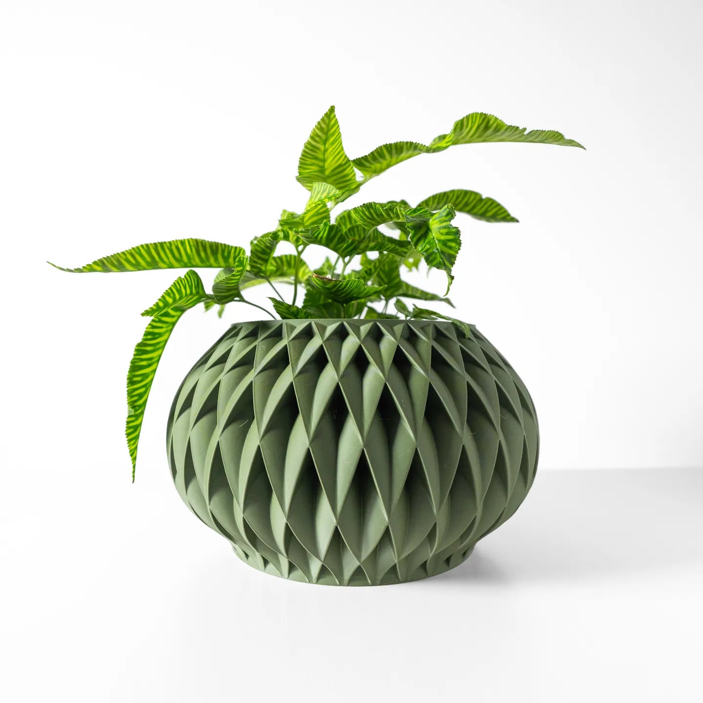 Velux Planter Pot with Tray image 3