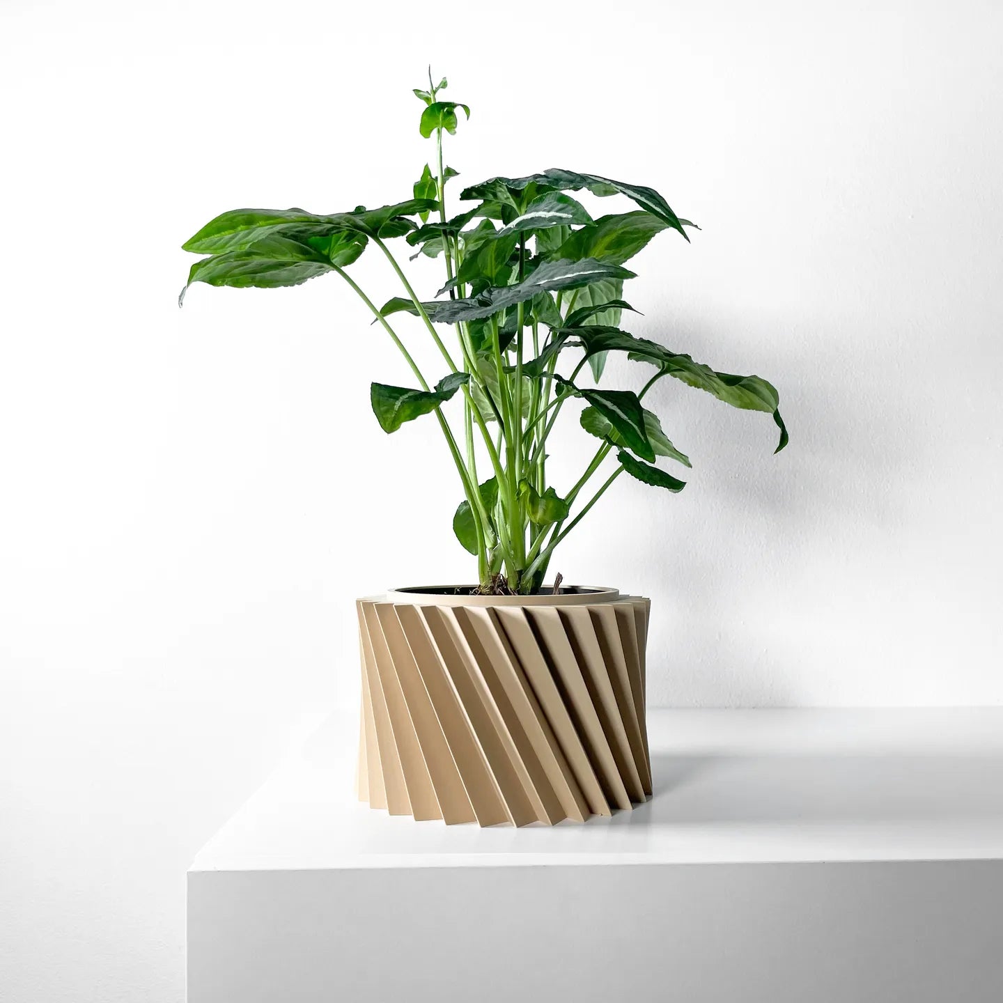 Wiron Planter Pot with Tray image 3