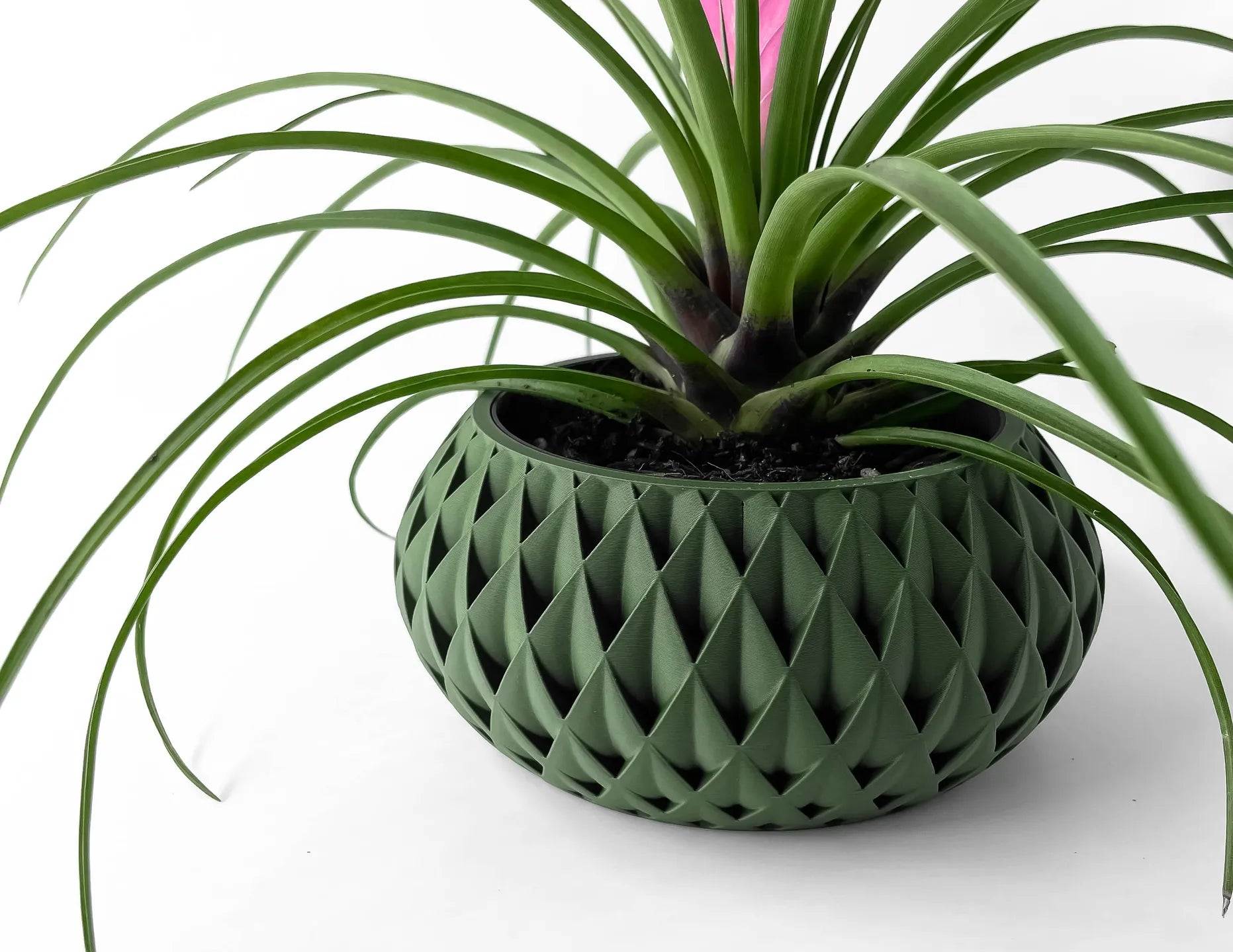 Cinor Planter Pot with Tray image 0