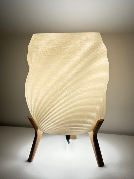 Seashell Light