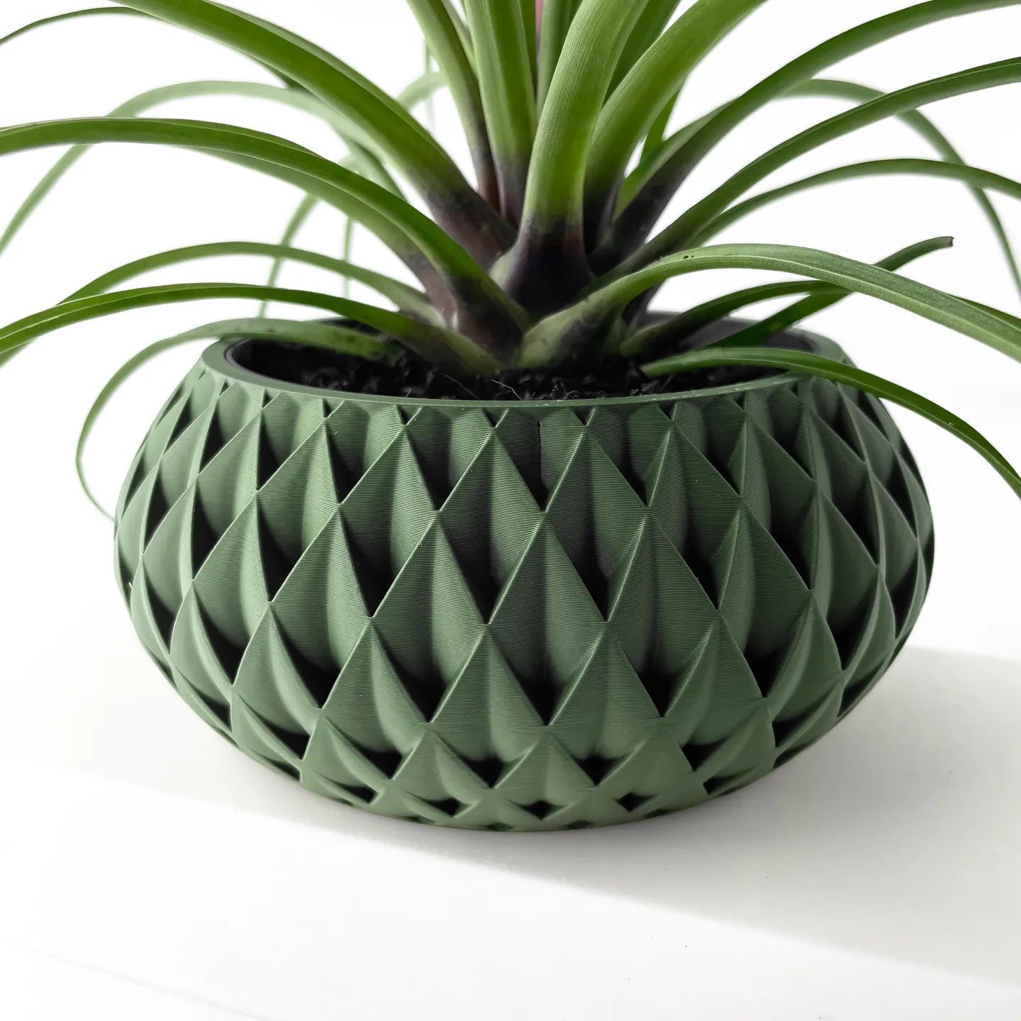 Cinor Planter Pot with Tray image 3