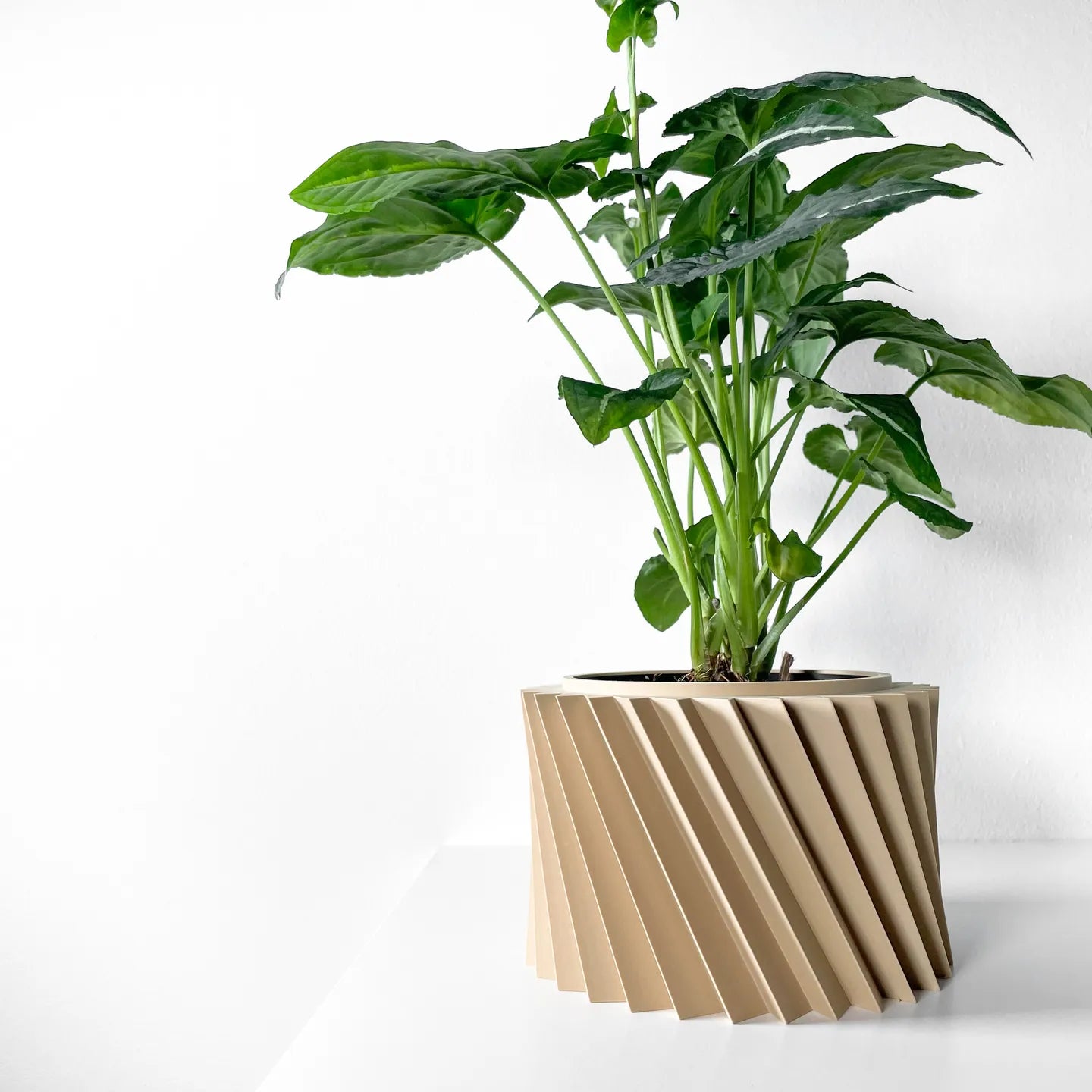 Wiron Planter Pot with Tray image 0