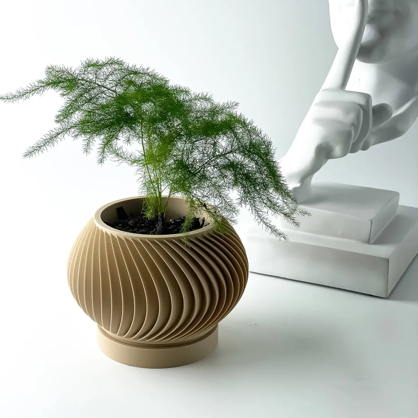 Caleth Planter Pot with Tray image 2