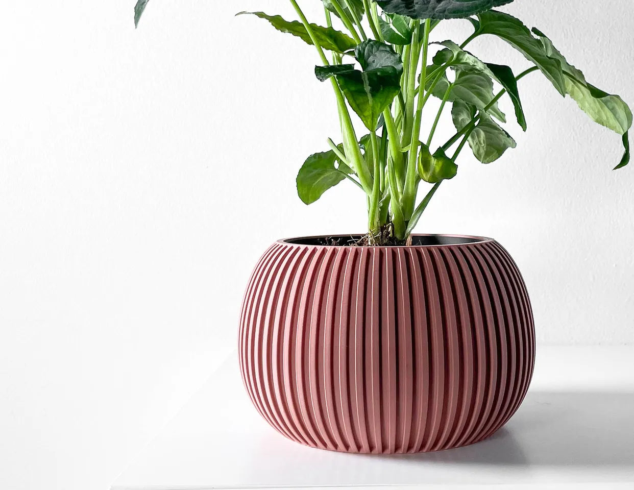 Surno Planter image 0