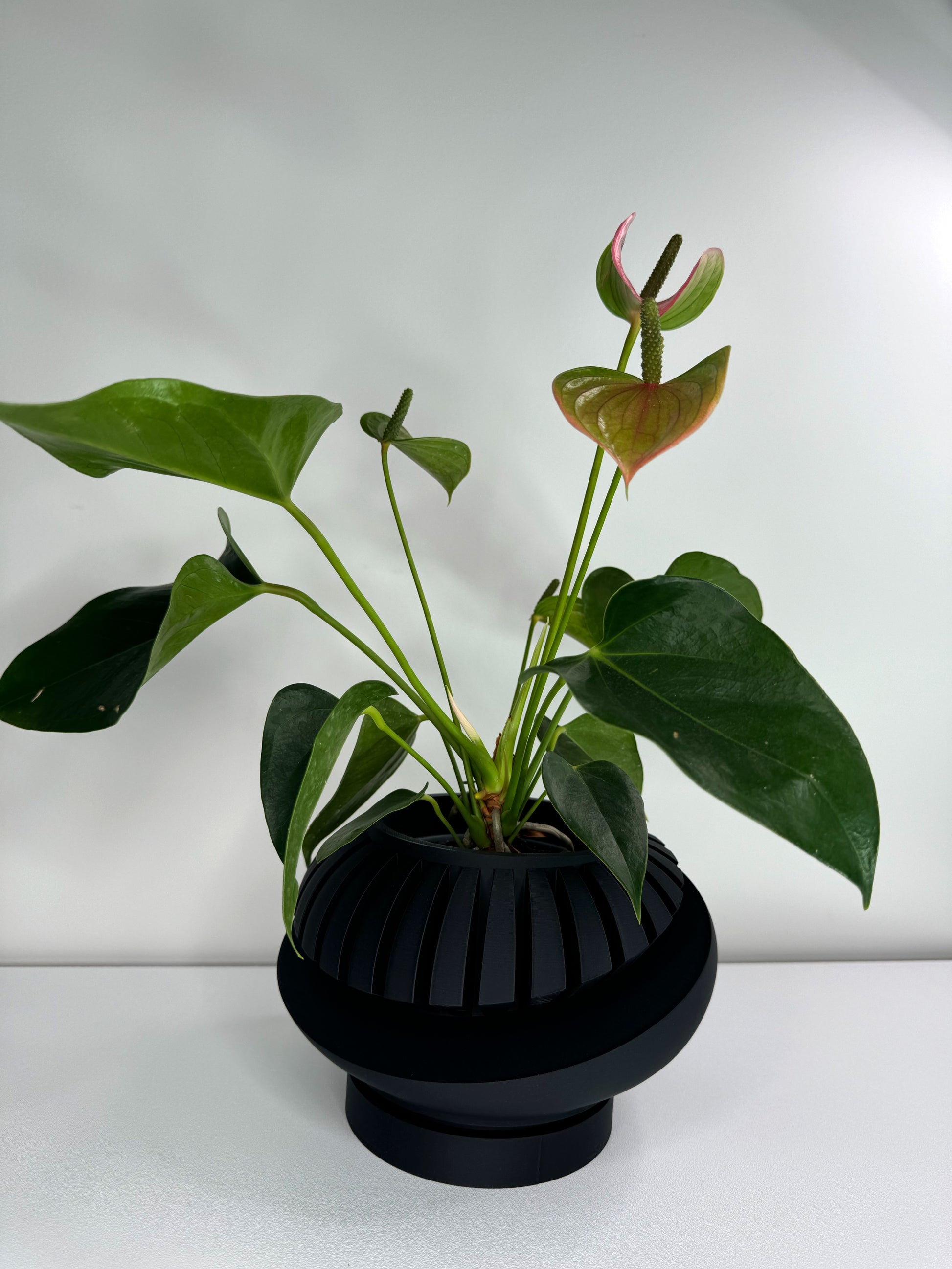 Luxar Planter Pot image 4